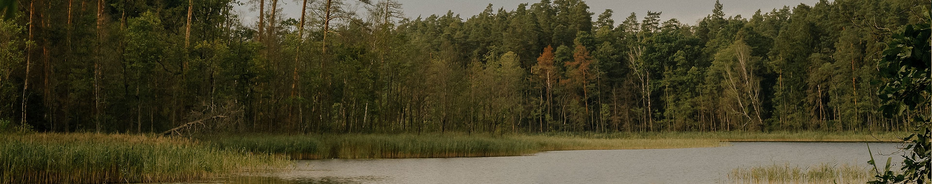Domki Kurka Wodna - Faszcze k.Mikołajek piękna okolica